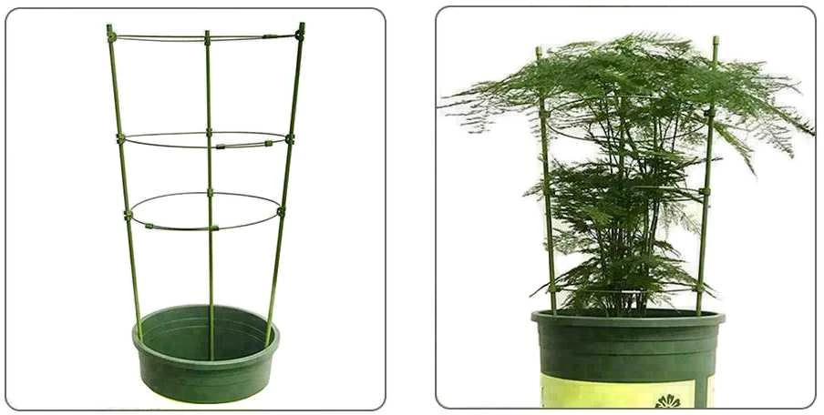 Augalų atrama žiedinė 60cm žalia