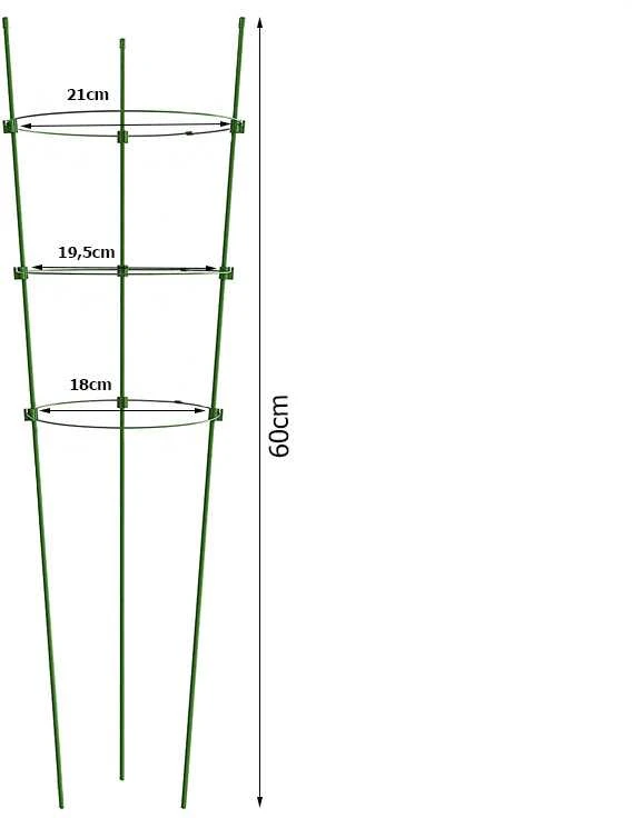 Augalų atrama žiedinė 60cm žalia