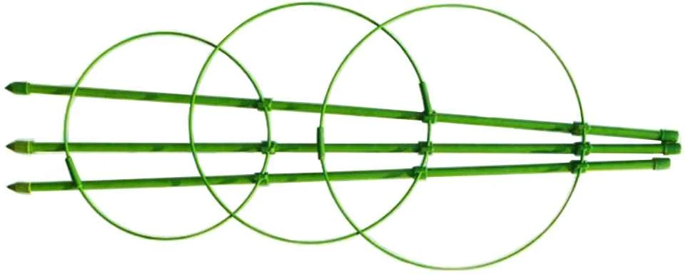 Augalų atrama žiedinė 60cm žalia