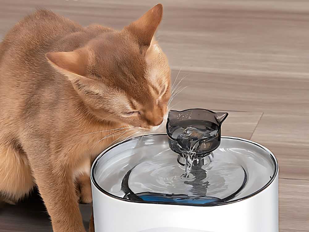 Automatinis dubenėlis su filtru, 2,2L