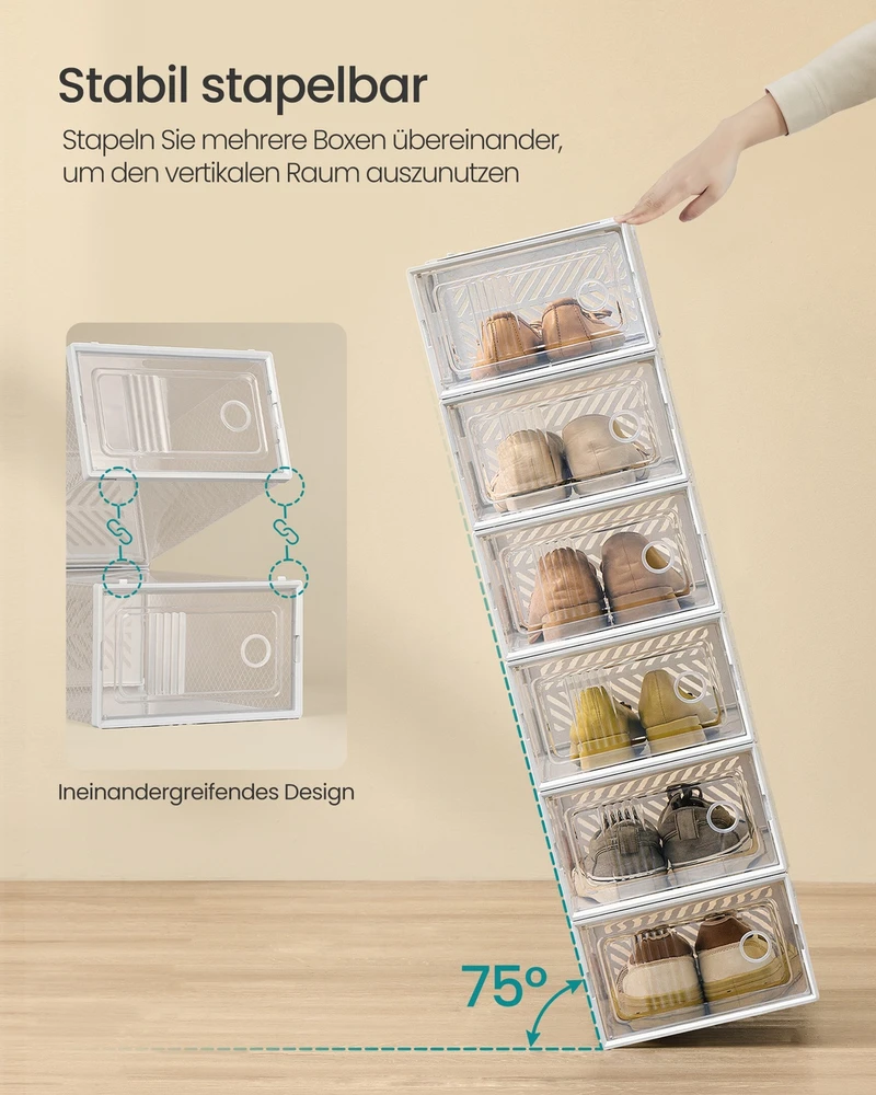 Songmics Batų dėžės 33.1 x 23 x 14 cm 12 vnt.