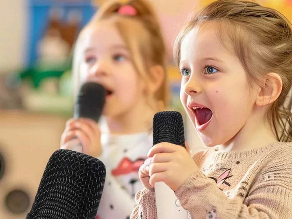 Belaidis karaoke garsiakalbis su Bluetooth ir 2 mikrofonais