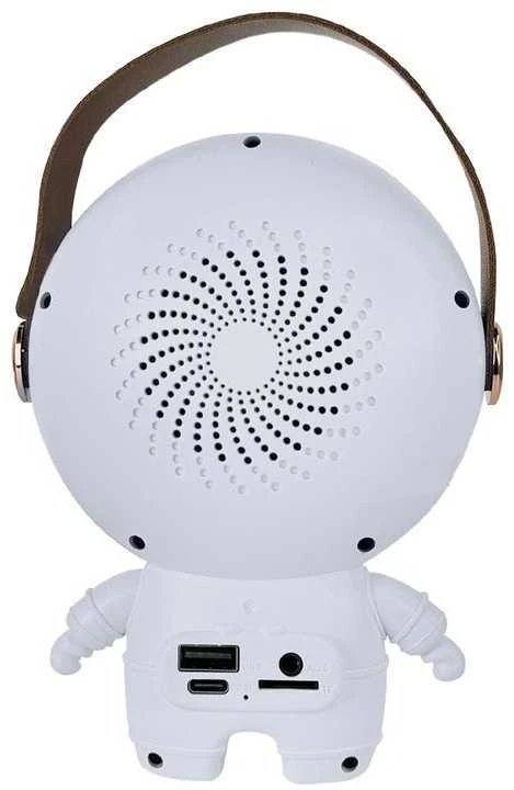 Belaidis karaoke garsiakalbis su Bluetooth ir 2 mikrofonais