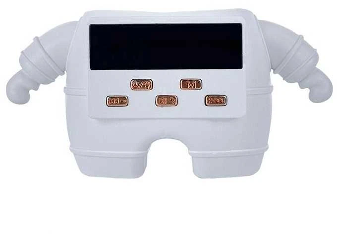 Belaidis karaoke garsiakalbis su Bluetooth ir 2 mikrofonais