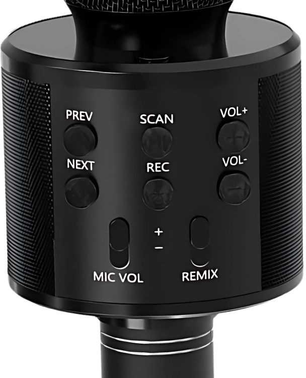 Belaidis mikrofonas karaoke su Bluetooth ir garsiakalbiu