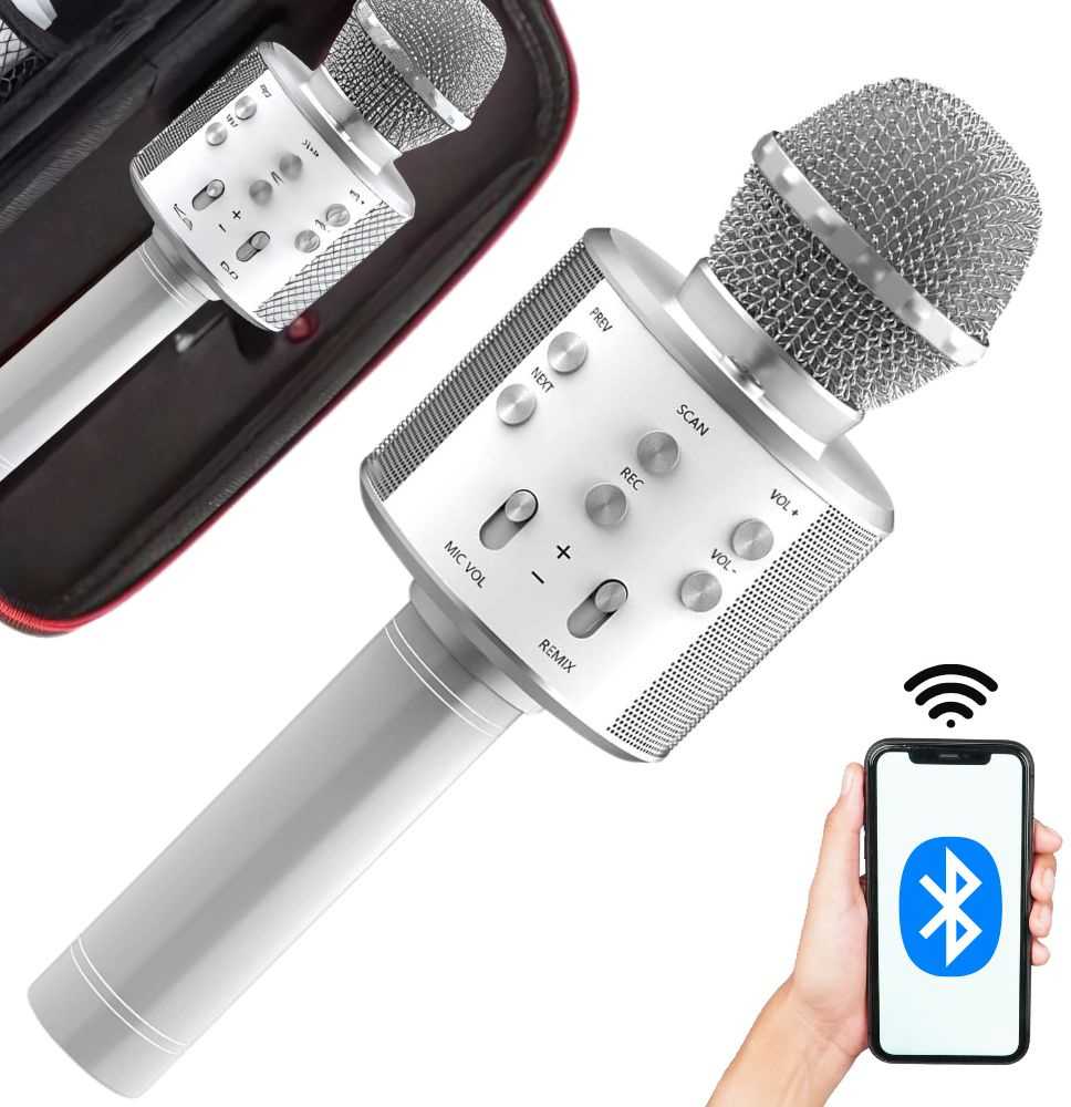 Belaidis mikrofonas su Bluetooth ir karaoke garsiakalbiu, 22 cm