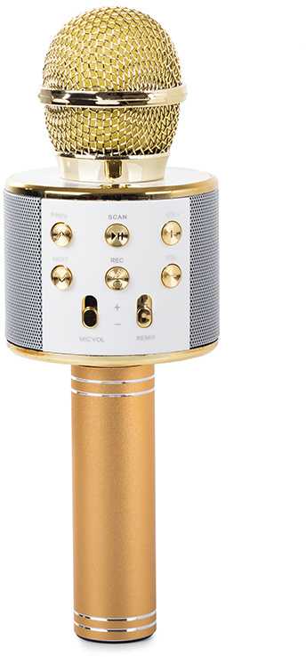 Belaidis mikrofonas su Bluetooth ir karaoke garsiakalbiu bei dėklu, 22 cm, auksinis