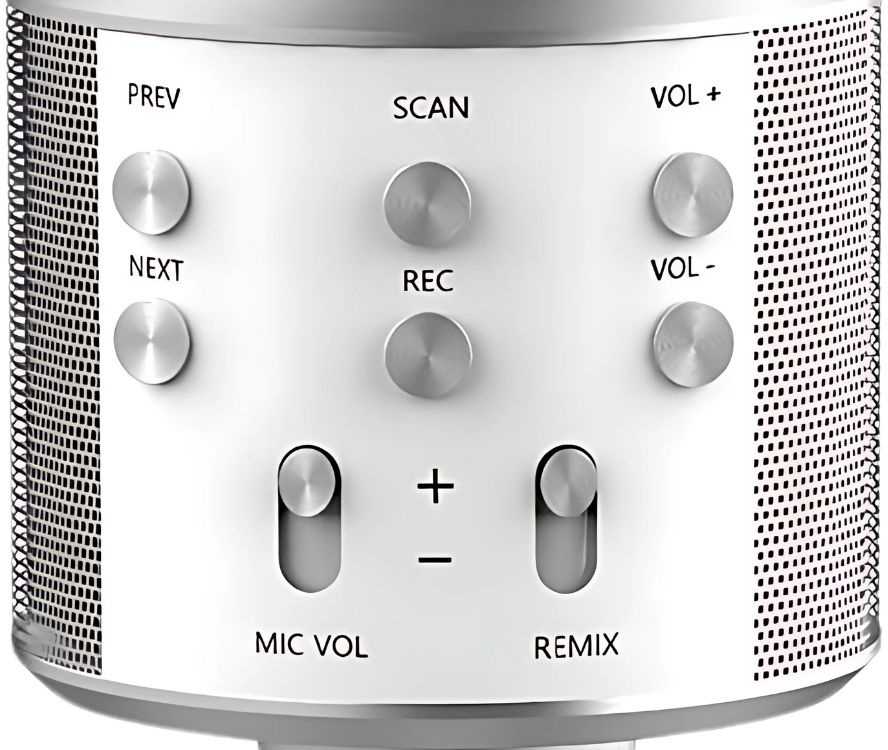 Belaidis mikrofonas su Bluetooth ir karaoke garsiakalbiu, 22 cm