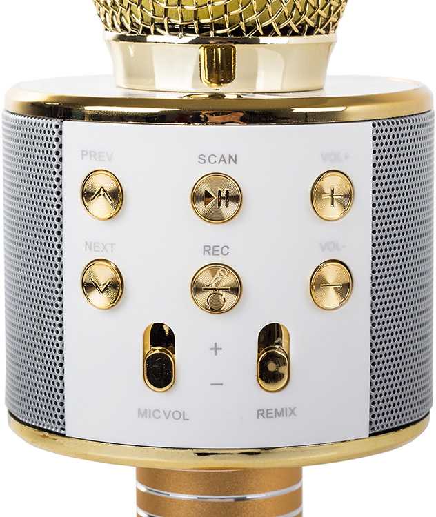 Belaidis mikrofonas su Bluetooth ir karaoke garsiakalbiu bei dėklu, 22 cm, auksinis