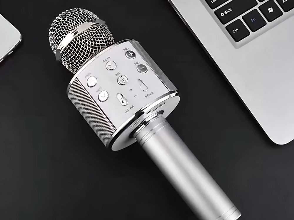 Belaidis mikrofonas su Bluetooth ir karaoke garsiakalbiu, 22 cm