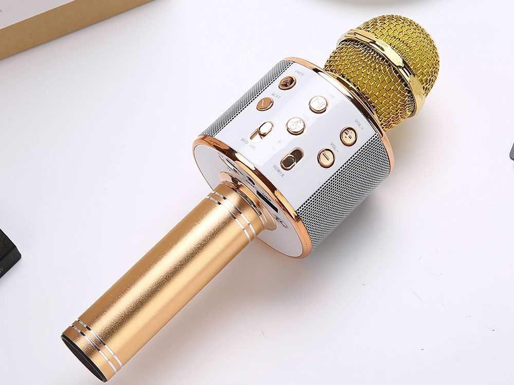 Belaidis mikrofonas su Bluetooth ir karaoke garsiakalbiu bei dėklu, 22 cm, auksinis