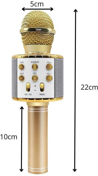 Belaidis mikrofonas su Bluetooth ir karaoke garsiakalbiu bei dėklu, 22 cm, auksinis