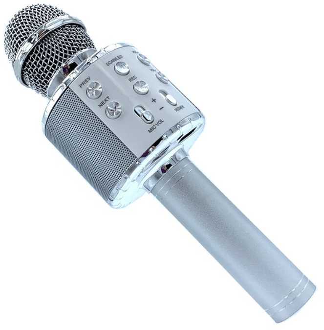 Belaidis mikrofonas su Bluetooth ir karaoke garsiakalbiu, 22 cm