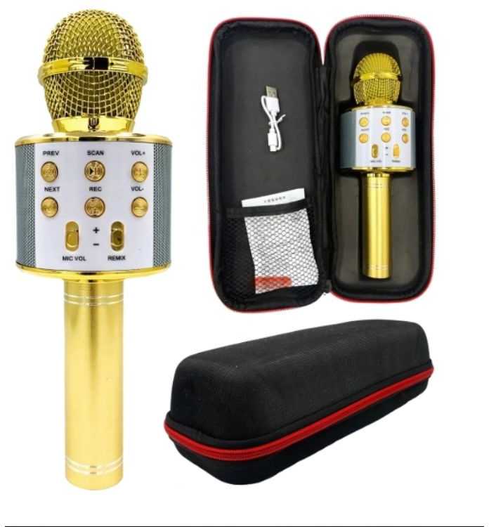 Belaidis mikrofonas su Bluetooth ir karaoke garsiakalbiu bei dėklu, 22 cm, auksinis