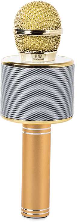 Belaidis mikrofonas su Bluetooth ir karaoke garsiakalbiu bei dėklu, 22 cm, auksinis