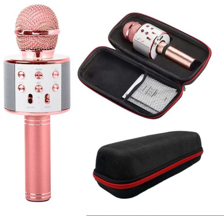 Belaidis mikrofonas su garsiakalbiu ir karaoke funkcija