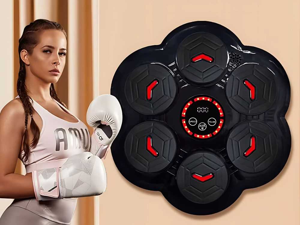 Bokso taikinys su Bluetooth ir USB įkrovimu