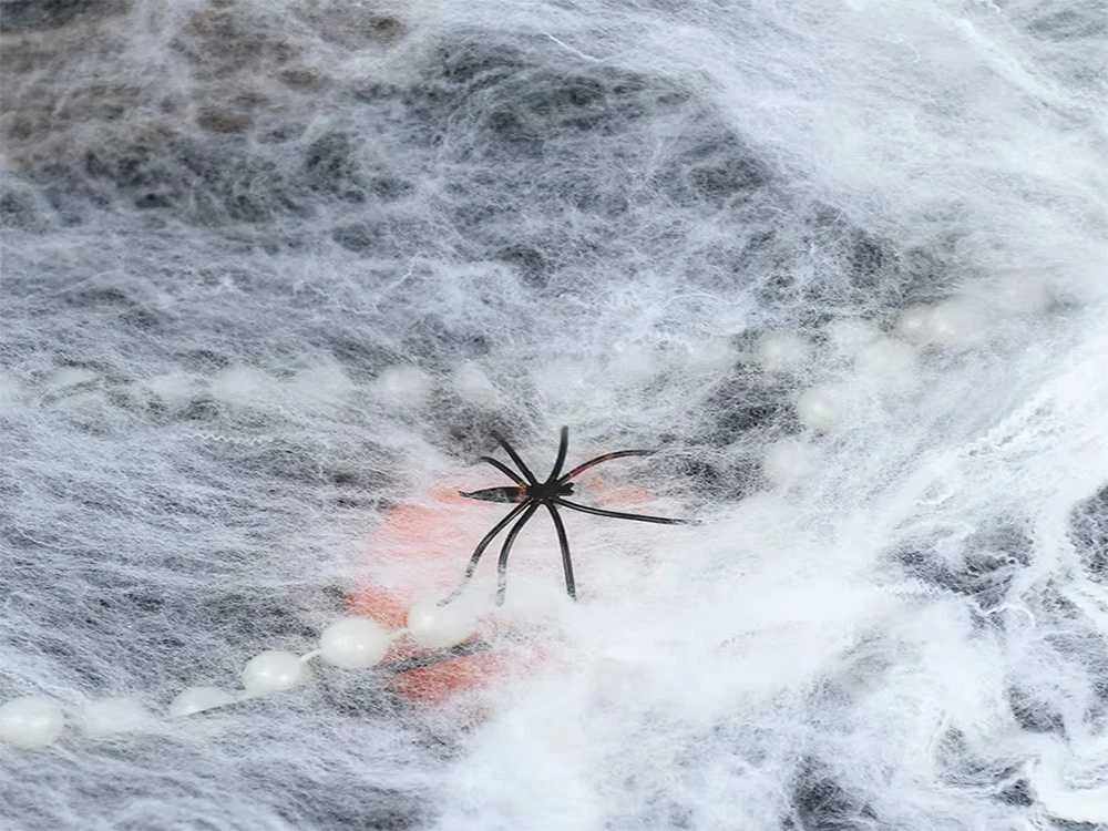 Dekoratyvinis voratinklis su vorais Helovinui