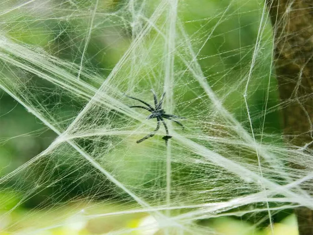 Dekoratyvinis voratinklis su vorais Helovinui