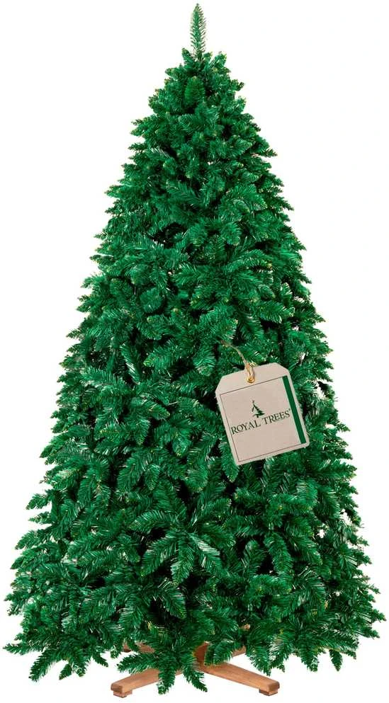 Springos Dirbtinė eglė Royal Trees Miško pušis 240 cm su keturšakiu stovu