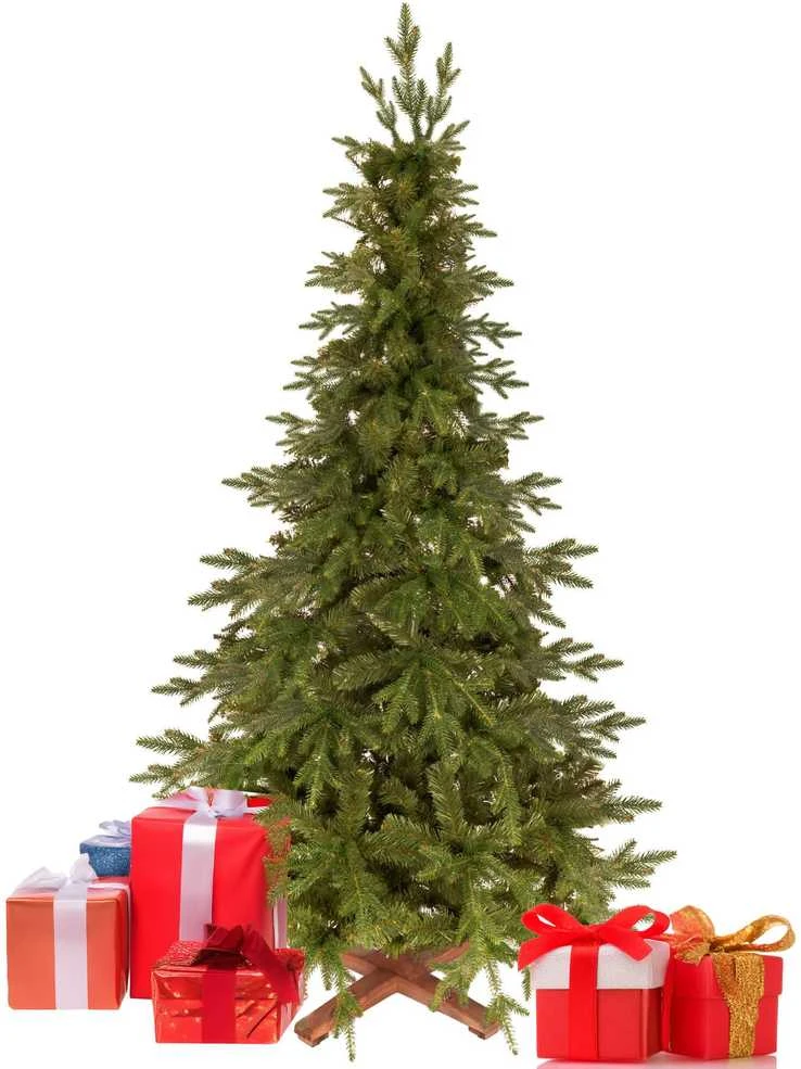 Springos Dirbtinė eglutė Royal Trees Himalajų eglė 180 cm