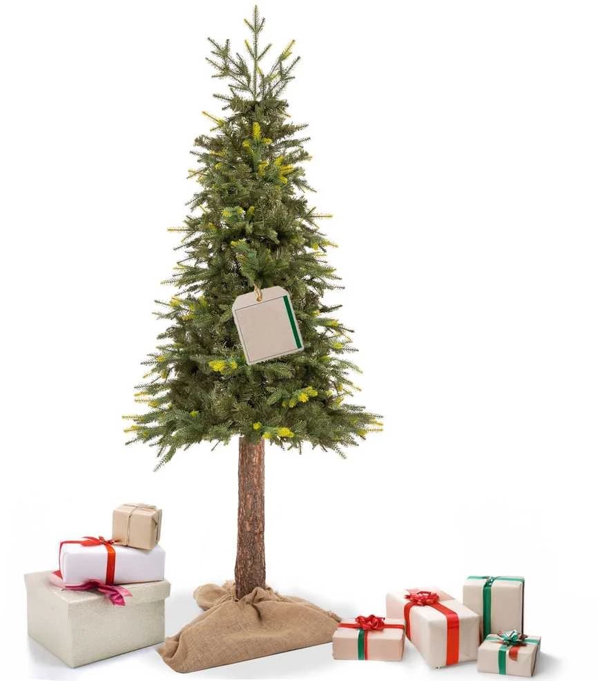 Dirbtinė eglutė Springos CT0200 su natūraliu kamienu, 220 cm