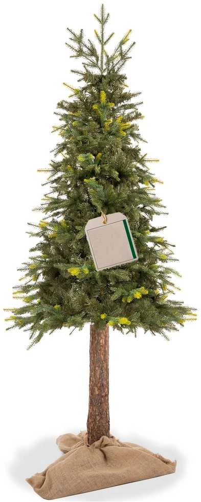 Dirbtinė eglutė Springos CT0200 su natūraliu kamienu, 220 cm