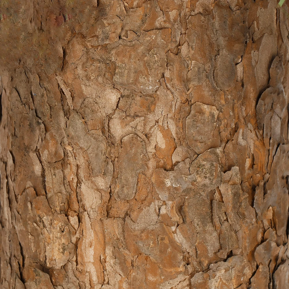 Springos Dirbtinė Kalėdų eglutė ant medinio kamieno, žalia, 90 cm