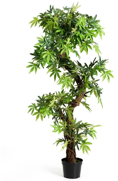 Dirbtinis bonsai 152.4 cm