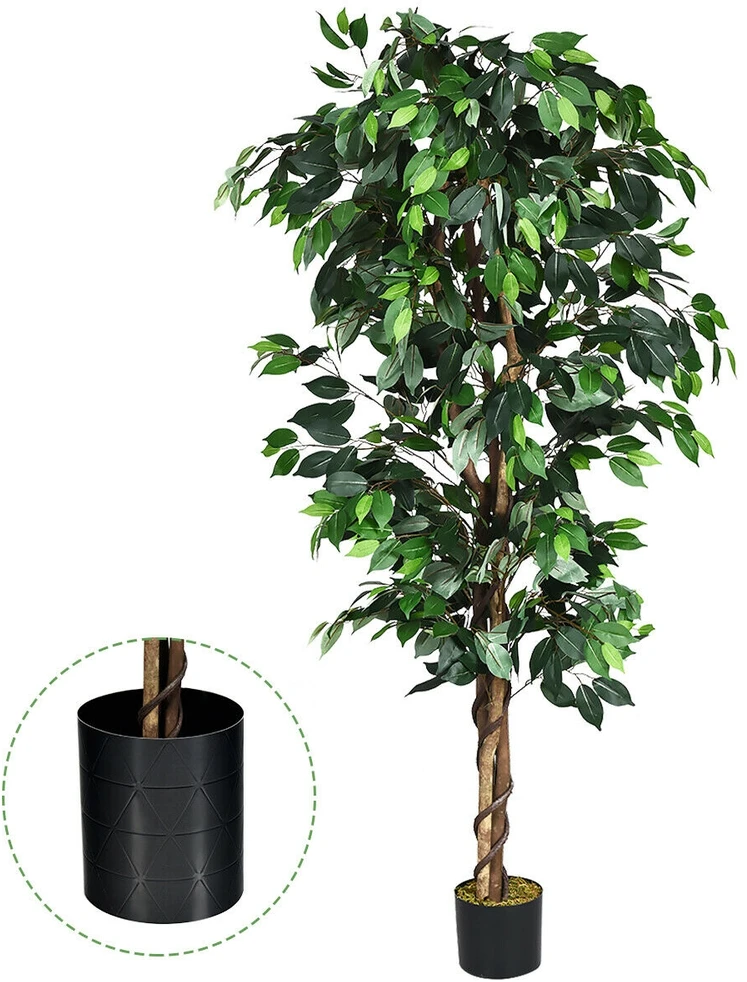 Dirbtinis fikusas 180.3 cm