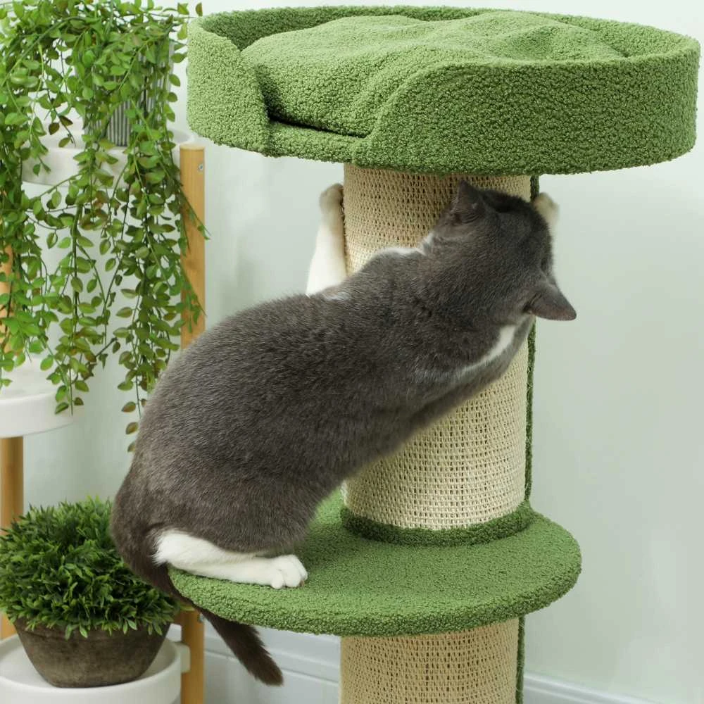 PawHut katės draskyklė, 91 cm, su guoliu, platforma, avies vilna, žalia