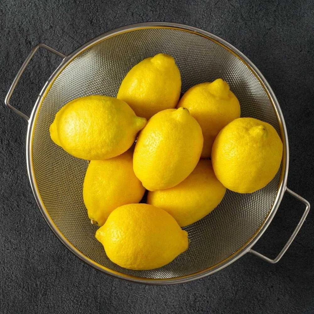 Excellent Houseware Nerūdijančio plieno koštuvas su dubeniu 20 cm