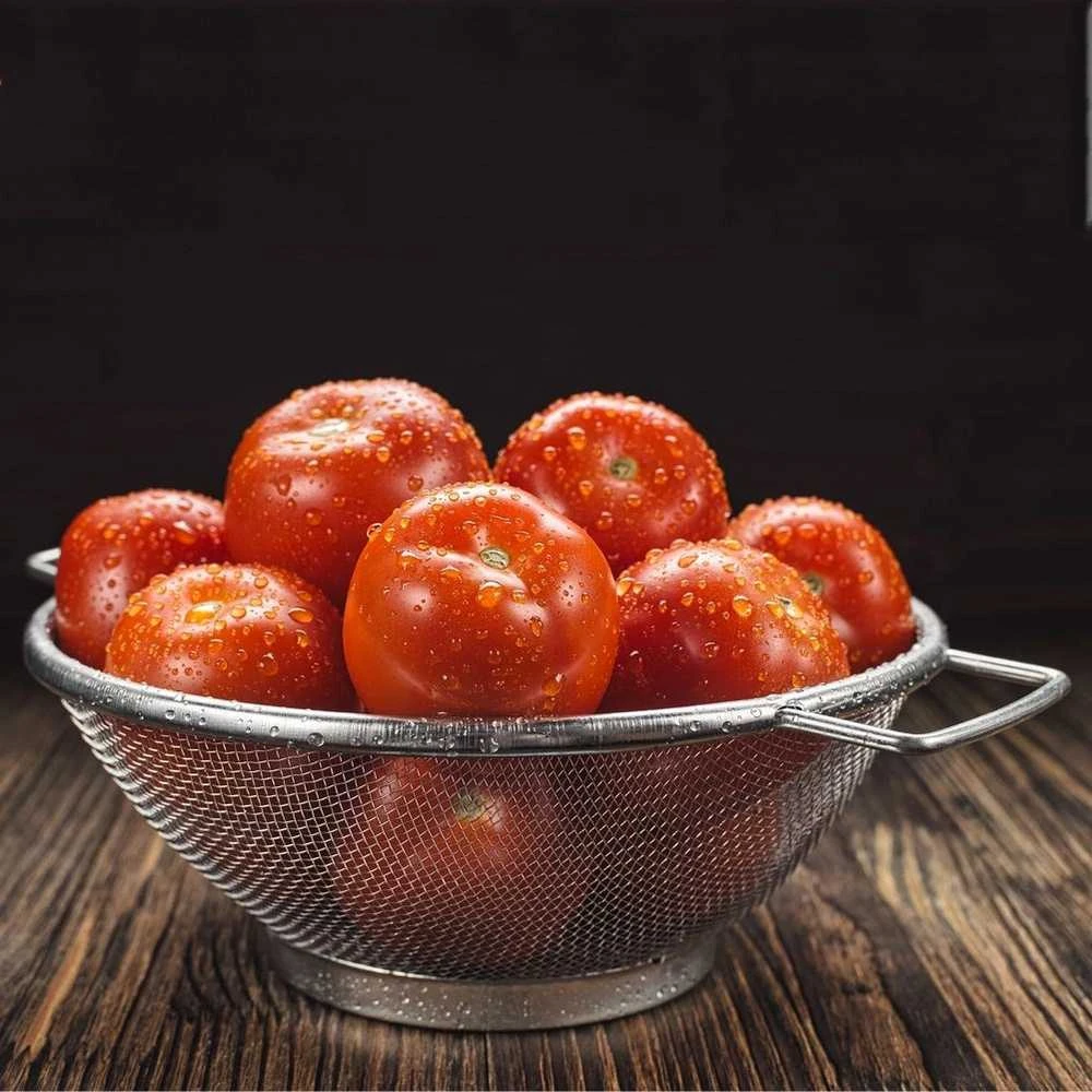 Excellent Houseware Nerūdijančio plieno koštuvas su dubeniu 20 cm