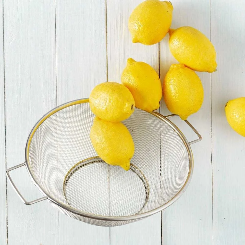 Excellent Houseware Nerūdijančio plieno koštuvas su dubeniu 20 cm