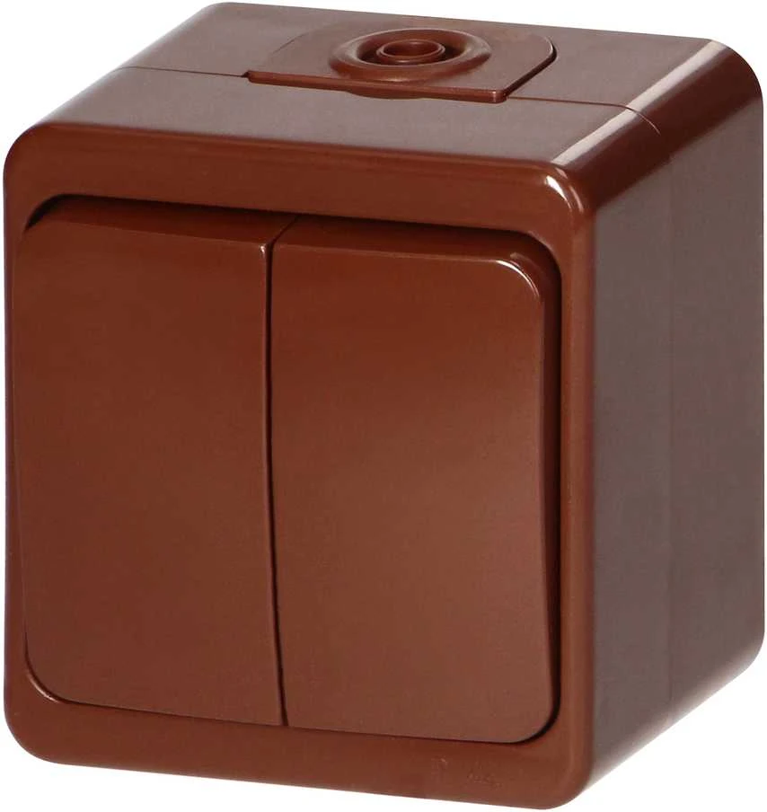 Łącznik Dvigubas išorinis jungiklis 10A, 250V, SMART, IP44, rudas