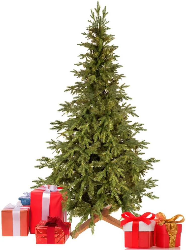 Springos Eglutė Royal Trees® Himalajų 210 cm