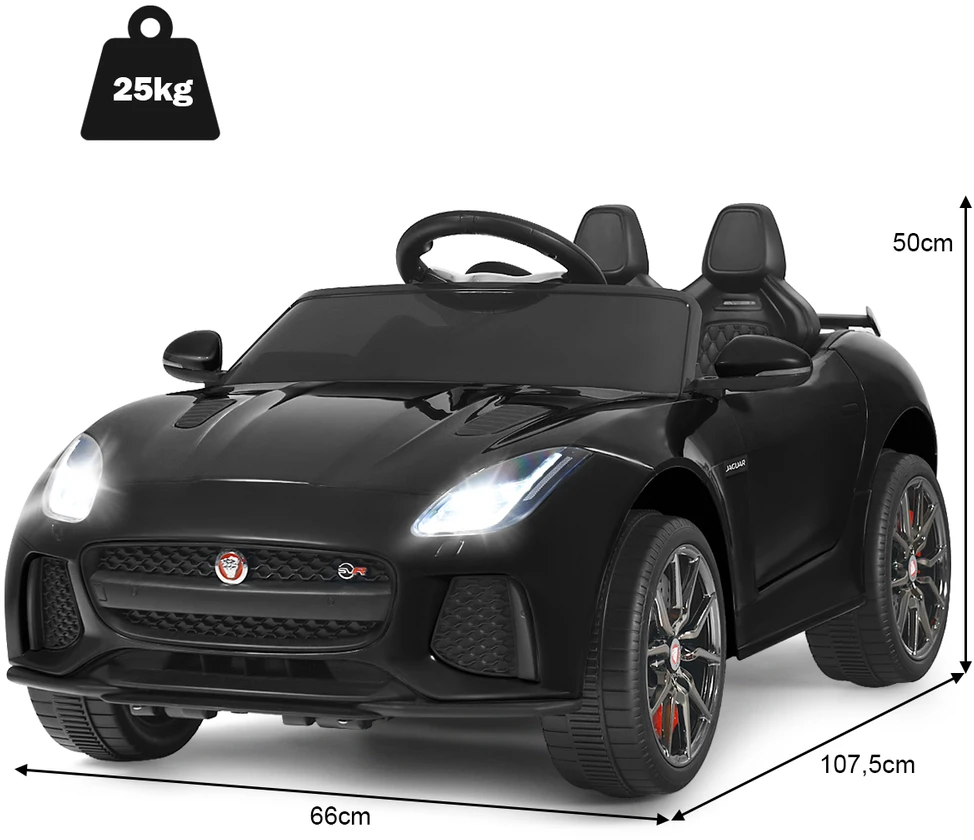 Elektrinis automobilis juodas