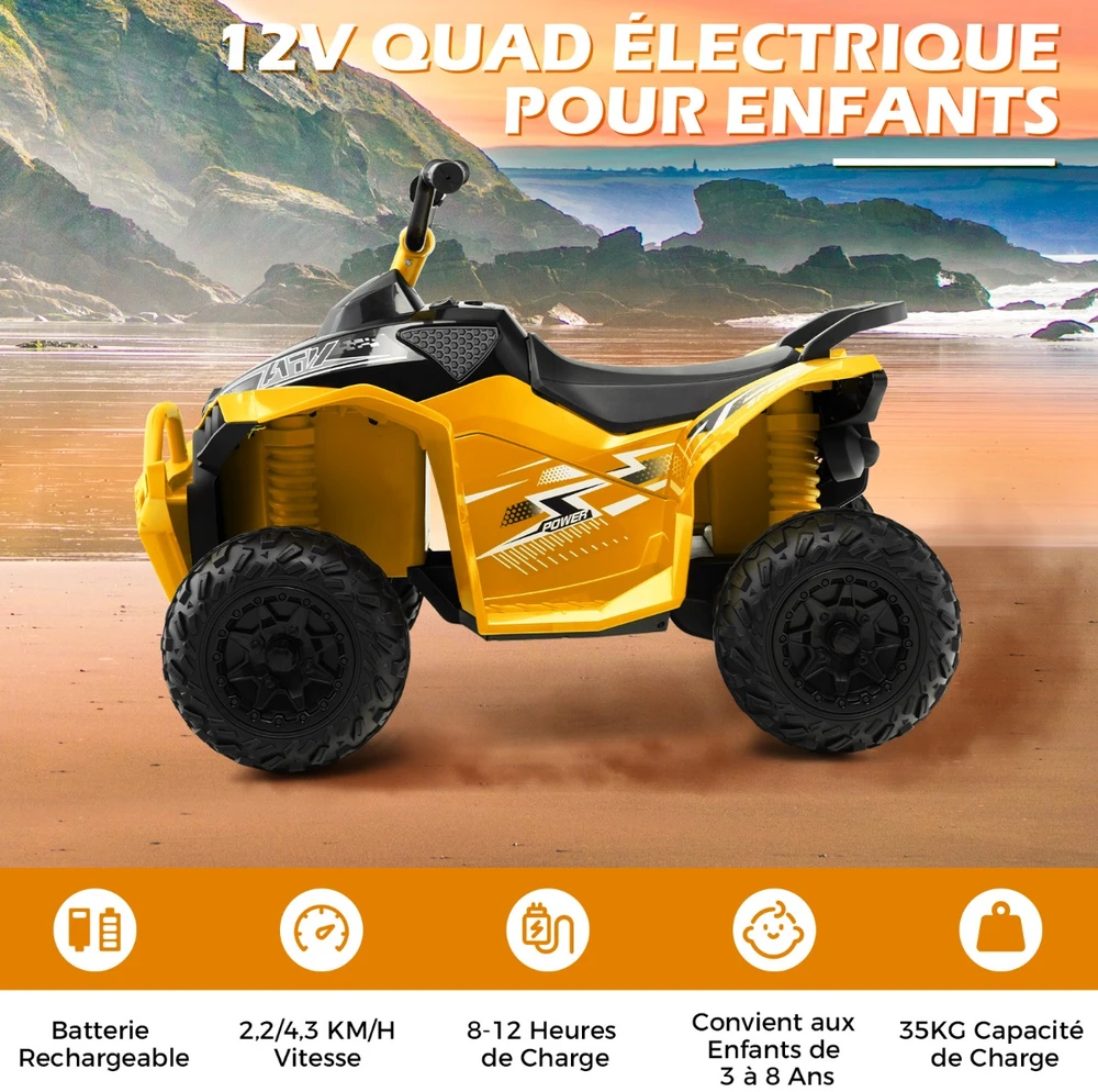 Elektrinis keturratis 12 V