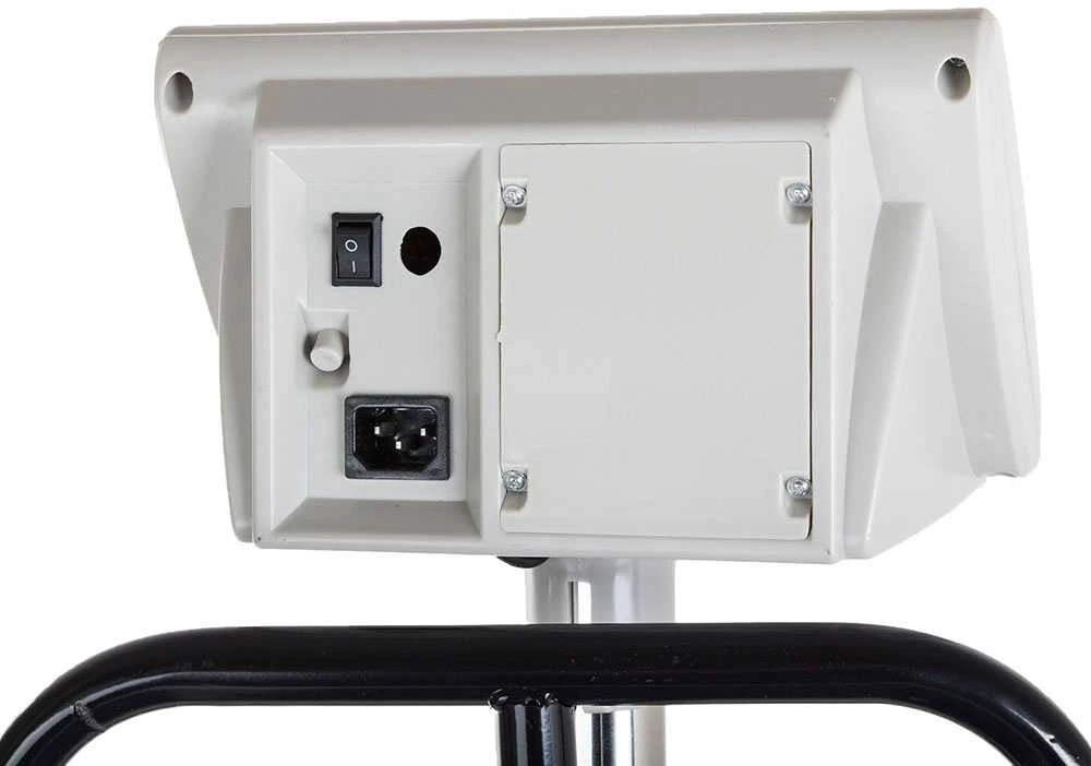 Elektroninės platforminės svarstyklės su atrama, 300 kg, 40x50 cm