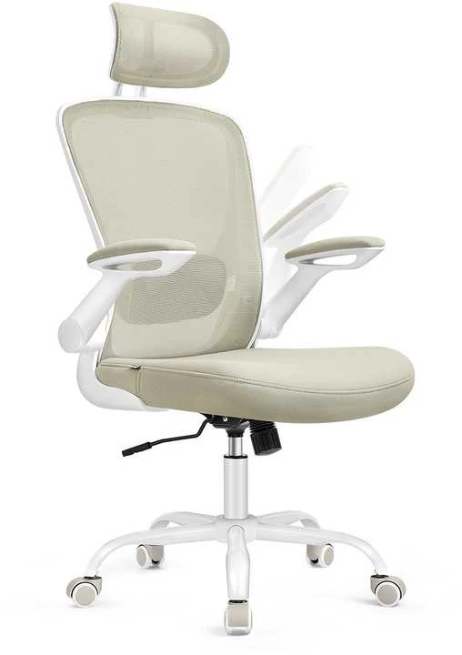 Songmics Ergonominė biuro kėdė su tinkleliu, kapučino spalvos