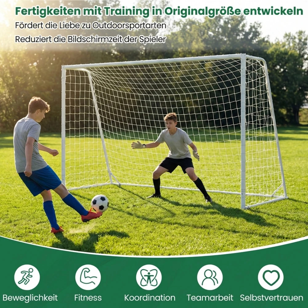 Futbolo vartai 300 x 133 x 204 cm