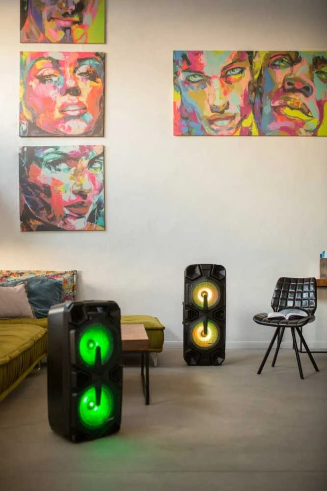 Prime3 profesionali garso sistema su Bluetooth ir Karaoke APA20