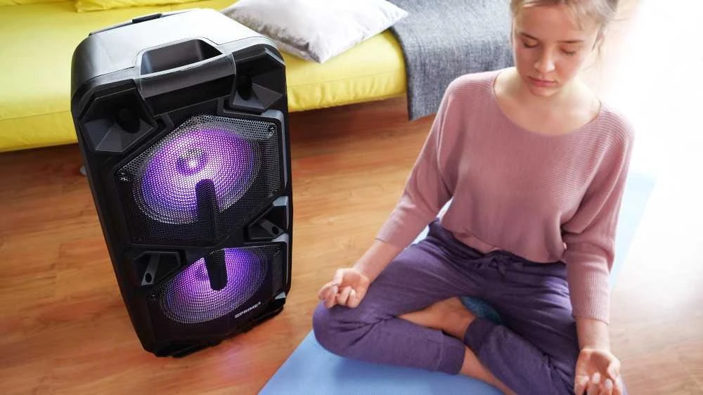 Prime3 profesionali garso sistema su Bluetooth ir Karaoke APA20