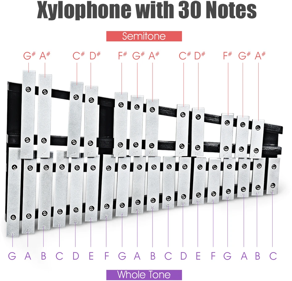 Glockenspielas 30 natų