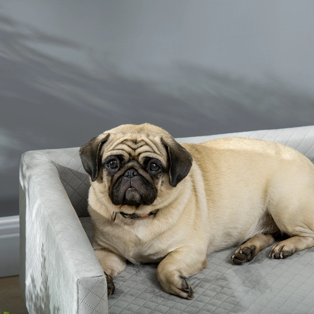 PawHut šunų sofa, aksominio prisilietimo naminių gyvūnėlių sofa mažiems šunims iki 8kg, su medinėmis kojelėmis, pilka, 64x45x36 cm