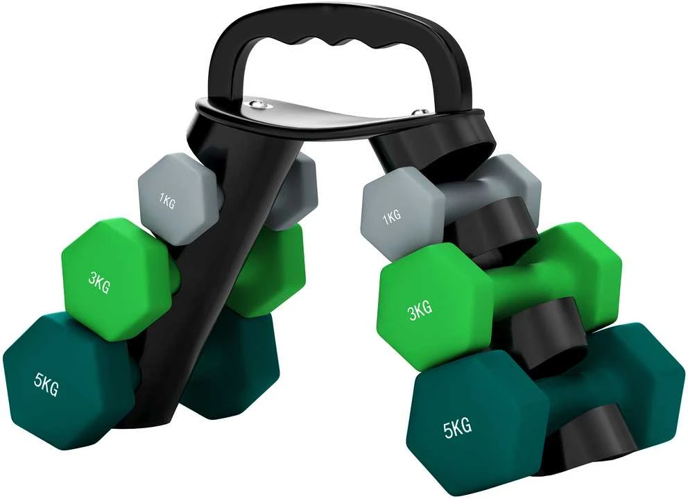 SPORTNOW hantelių rinkinys, 6 vienetai su sulankstomu stovu, 2 x 1kg, 2 x 3kg, 2 x 5kg hanteliai, skirti fitnesui, gimnastikai, namams
