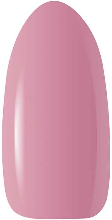 Activeshop Hibridinis nagų lakas Ocho, 307, 5 g