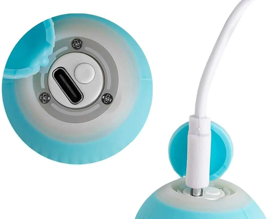 Interaktyvus žaislas katėms ir šunims su LED, USB įkrovimu, 4 cm