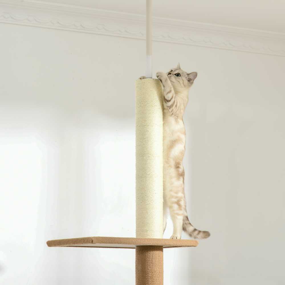 PawHut reguliuojamo aukščio draskyklė katėms, laipynė, žaidimų medis, chaki spalvos, 43x27x228-260cm