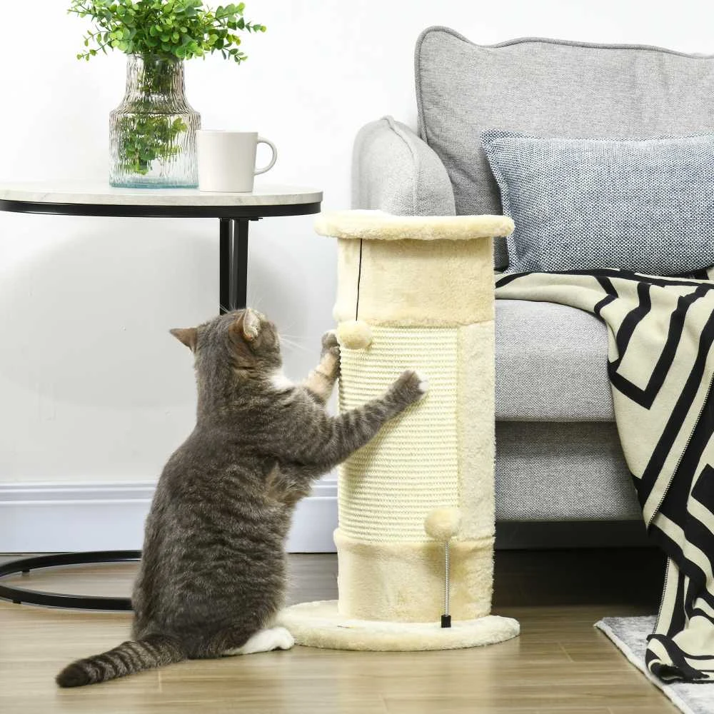 PawHut kampinis draskyklės stulpas 58 cm, draskyklė katėms su draskymo kamuoliuku, iš sizalio, kreminės baltos spalvos